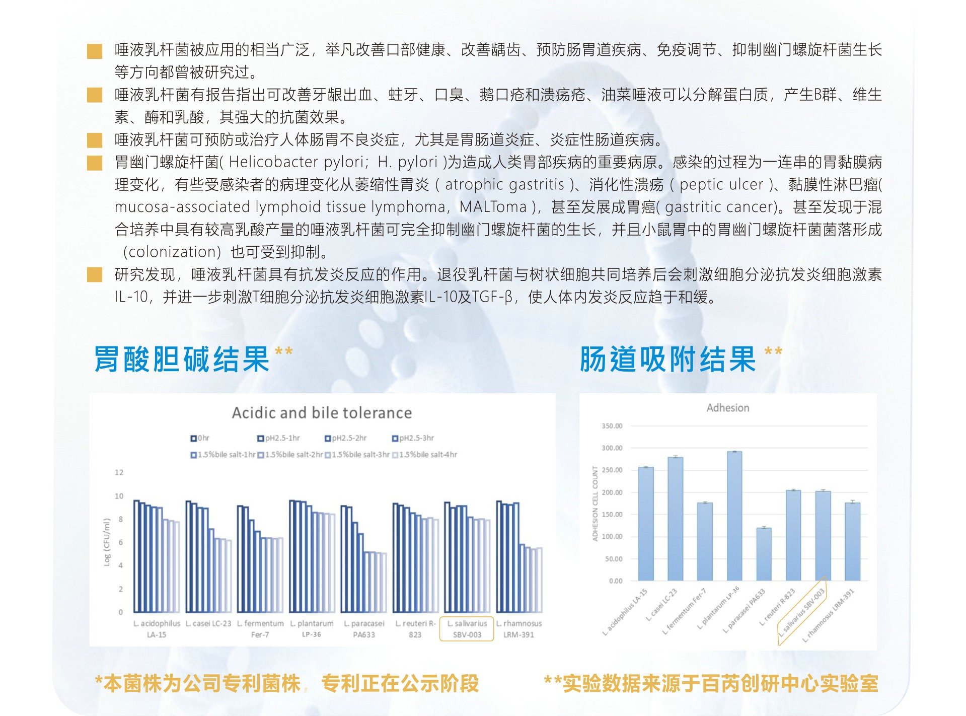 唾液乳杆菌介绍图.jpg